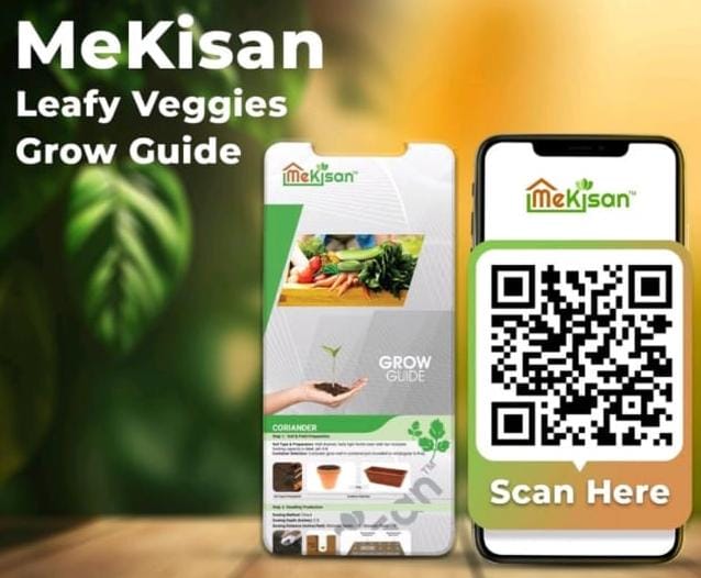 leafy grow guide