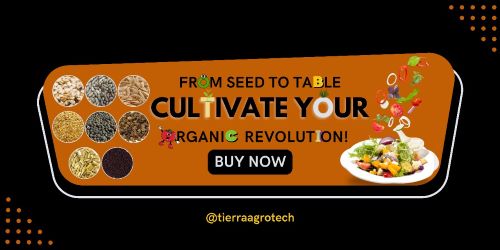 Kitchen Gardening: Cultivating Trust and Excellence with MeKisan