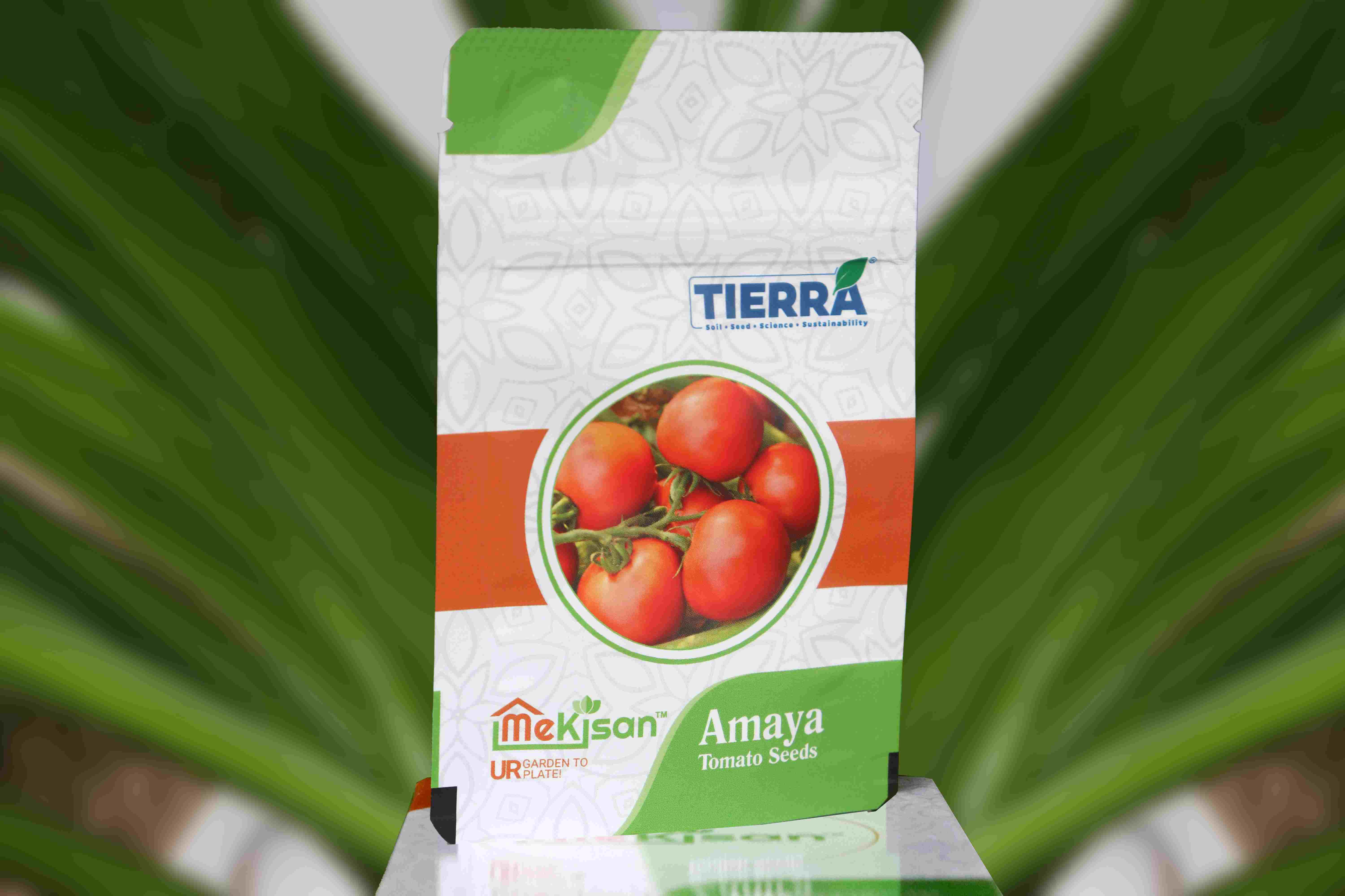 Amaya- Tomato Seeds