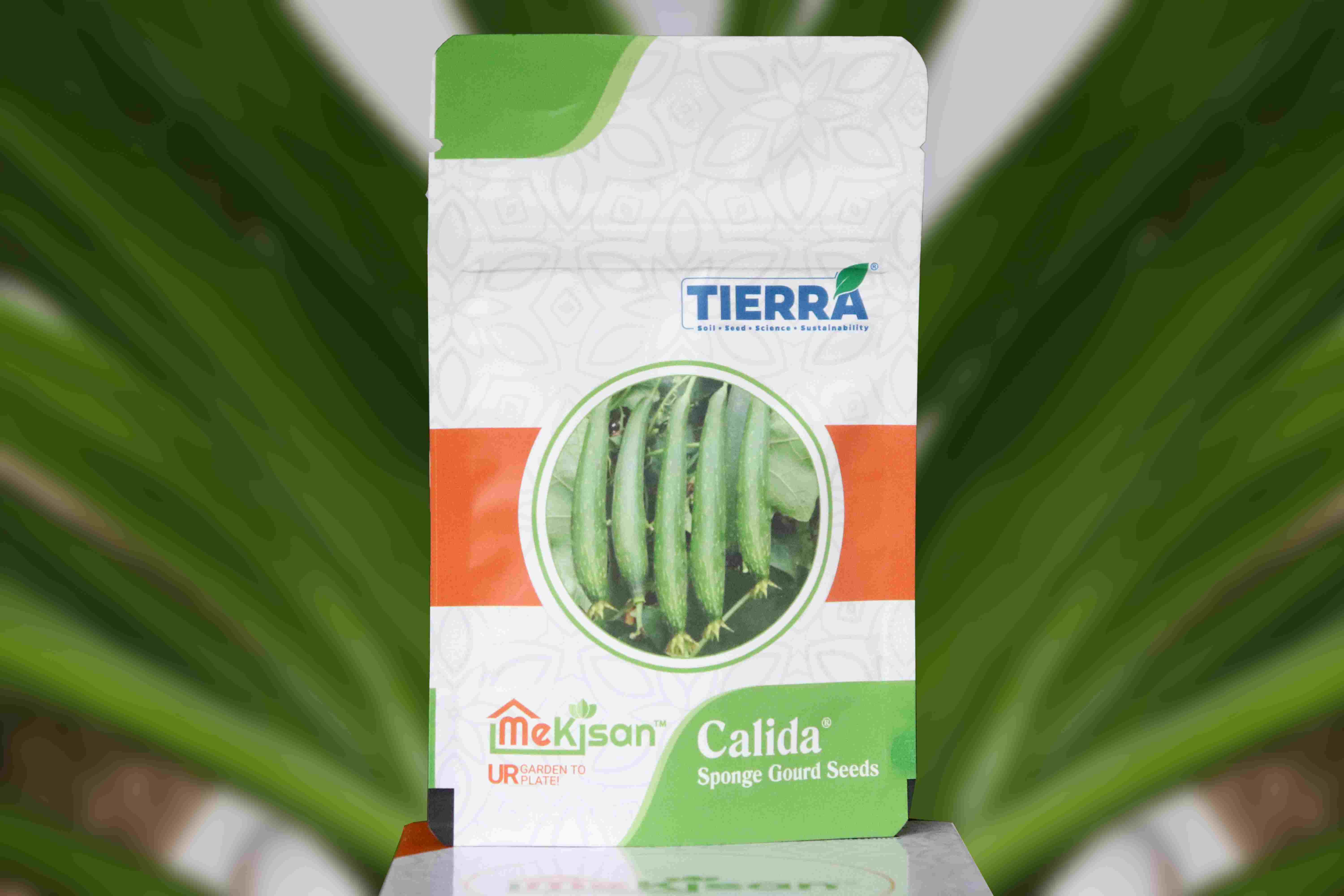 Calida-Sponge Gourd Seeds