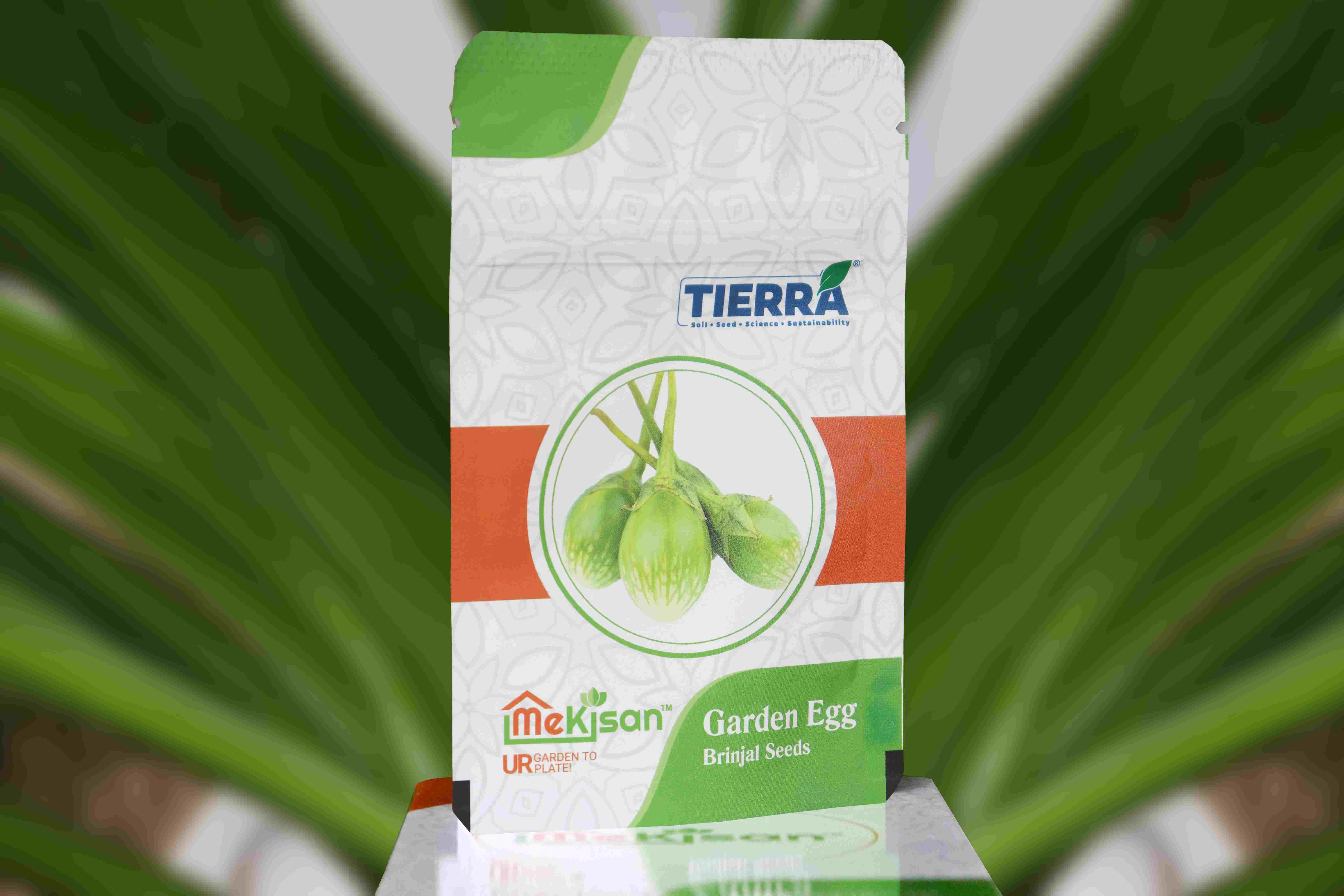 Garden Egg -Brinjal Seeds