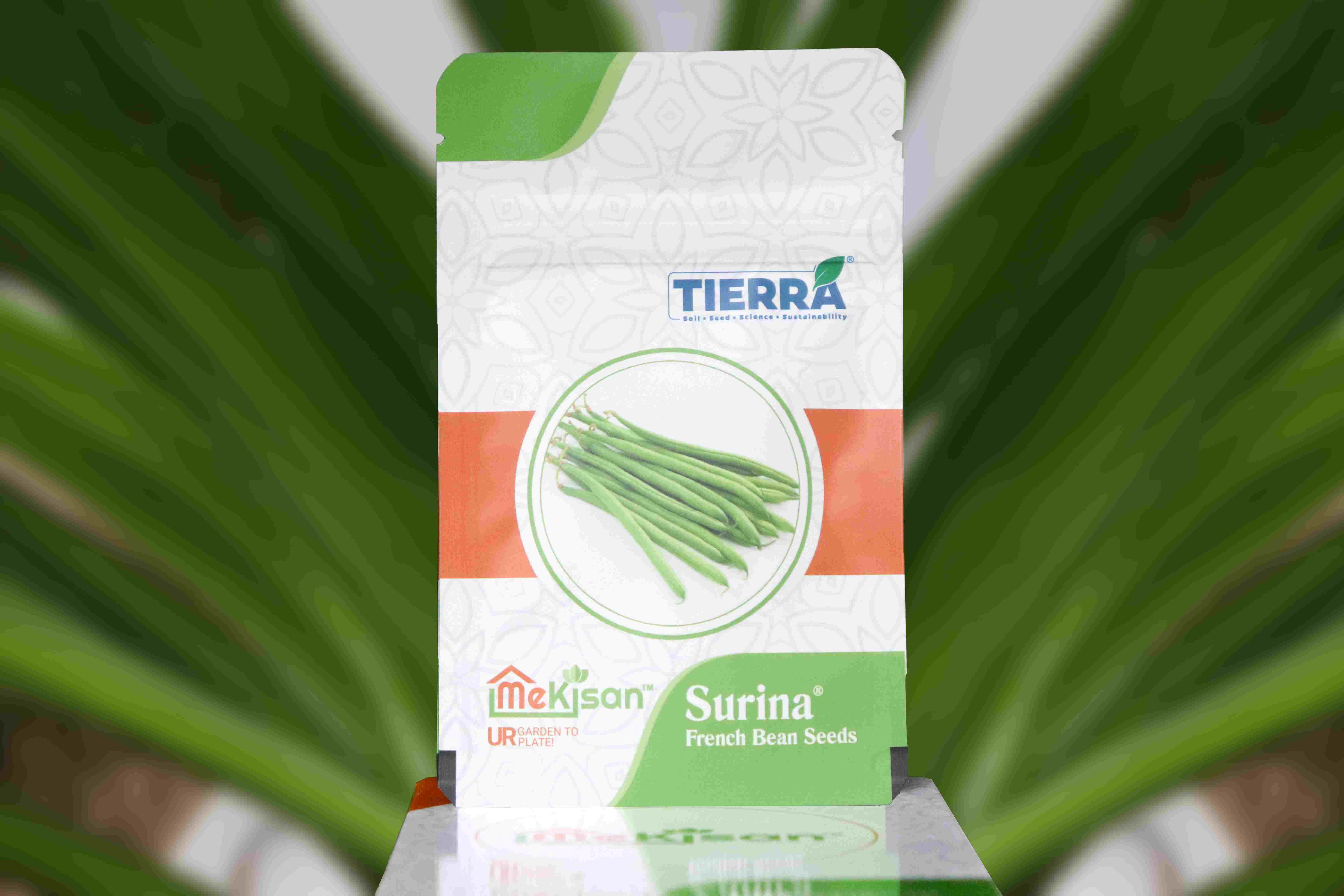 Surina-French Bean Seeds